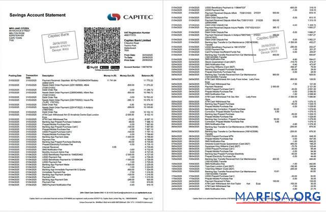 Blank South Africa Capitec bank account statement word 2 pages download for verification